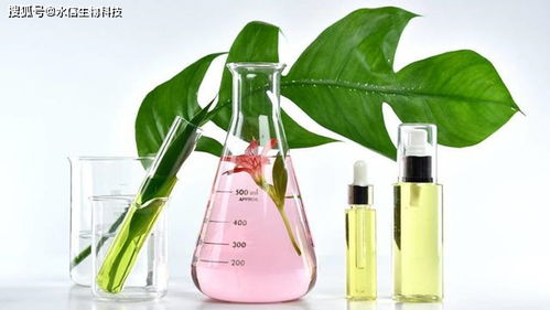 馬齒莧提取物在護(hù)膚品與化妝品中的優(yōu)勢與適用性