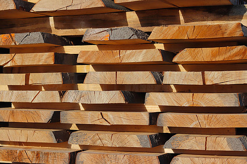 帕拉什卡·瓦達 阿邁德那加爾帕拉什地區(qū)結構木制品與精美雕刻構件的典范